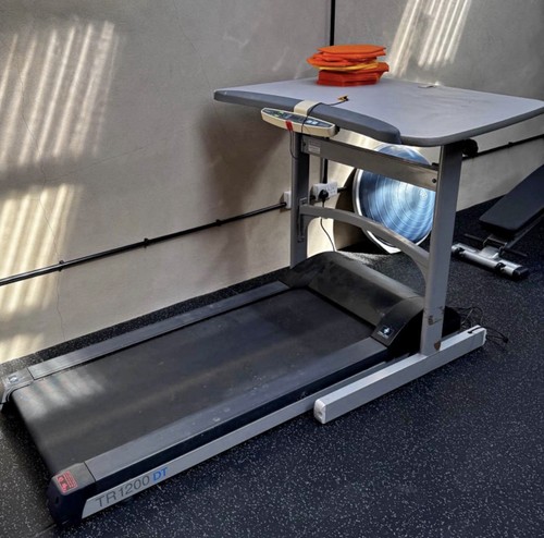Lifespan walking treadmill - walking,